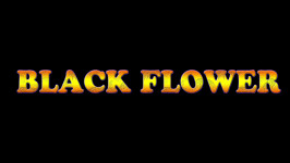 Black Flower - XXXX - WSG #45