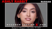 Ashly Rabbit